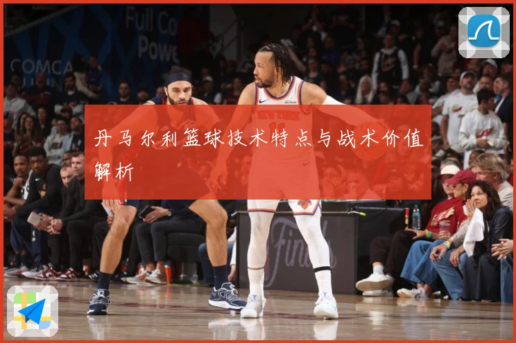 丹马尔利篮球技术特点与战术价值解析